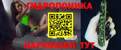 дмт Будённовск