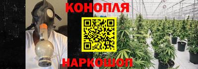 дмт Будённовск