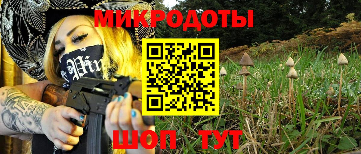 Галлюциногенные грибы прущие грибы Ртищево